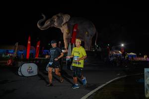 BIB: 
                            <button type="button" onclick="openModal(26551957)" class="btn btn-primary btn-sm float-right btn-popup" data-toggle="modal" data-target=".modal-high-quality">
                        <i class="fas fa-shopping-cart"></i> Add to Cart
                    </button>
                                            <button type="button" onclick="isThisMe(26551957, true)" class="btn btn-success btn-sm float-right btn-popup btn-isme hidden" data-toggle="tooltip" data-placement="bottom" title="นี่คือรูปของคุณใช่ไหม คลิกที่นี่เพื่อเอาเข้าอัลบั้ม">
                        <i class="fas fa-plus"></i> Add to album
                    </button>
                    <button type="button" onclick="isThisMe(26551957, false)" class="btn btn-warning btn-sm float-right btn-popup btn-isnotme hidden">
                        <i class="fas fa-ban"></i> Remove from album
                    </button>